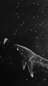 Download the following cute whale wallpaper 23647 image by clicking the orange button positioned underneath the download wallpaper section. Whale Iphone Wallpapers Top Free Whale Iphone Backgrounds Wallpaperaccess