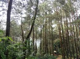 • harga tiket masuk gembira loka zoo, simak jam buka dan promonya. My Trip Ngebolang Ke Curug Tujuh Cibolang Pencarian 7 Curug Legendaris Ariefpokto S Journal To Everywhere