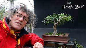 Image result for Burttdavya