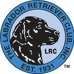 LRC AKC FAST CAT
