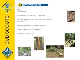 Cub foods ads let customers get better prices for some commonly. Cub Scouts Leave No Trace Training For Cub