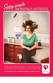 Roberts animal care center, 201 alabama street, and the pacific heights campus at the pets unlimited care center, 2343 fillmore street. Sf Spca Hospital Campaign On Behance