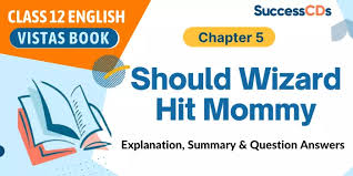 (b) the room is cleaned by somebody every day. Should Wizard Hit Mommy Class 12 English Summary Explanation Difficult Words