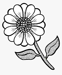 These coloring pages can be used to teach your children about the different varieties of the flower. Free Printable Flower Coloring Pages Flower Black And White Clip Art Hd Png Download Kindpng