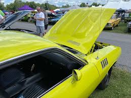 Image result for Curious Yellow 1971 Fury