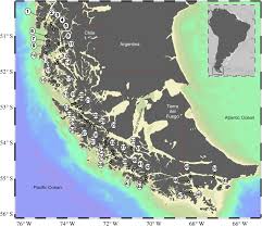 See 4,457 unbiased reviews of lulu's gulf shores, rated 4 of 5 on all reviews crab melt fries burger fried green tomatoes shrimp hush puppies seafood salad ropes course live music gift shop jimmy buffet great atmosphere fun place hour wait open air long wait. Widespread Infection Of Areospora Rohanae In Southern King Crab Lithodes Santolla Populations Across South Chilean Patagonia Royal Society Open Science