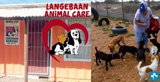 Much like building a relationship with your stylist or barber, we love connecting with our visiting pets and learning more. Langebaan Animal Care Pet Health Care