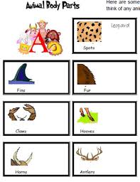 This worksheet is a body parts word search. Animal Body Parts Worksheet
