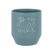 Buy Argos Home Novelty Slogan Planter Green Indoor Pots And Planters Argos In 2020 Planter Pots Indoor Argos Home Planter Pots