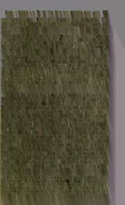 Image result for Tephrosia argyrolampra