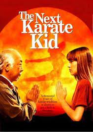 The Next Karate Kid Karate Kid Movie Karate Kid Karate Kid 4