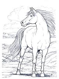 A horse is a strong animal and gives a lot of benefits for the people. Horse Coloring Pages