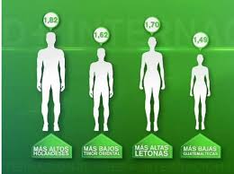 Riga, la ciudad capital de la república de letonia fue escenario de un singular hecho en el que se vieron involucrados tres hombres y un animal, concretamente un pavo. Las Mujeres Y Los Hombres Mas Altos Del Mundo En Holanda Letonia Steemit