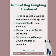 Is Your Dog S Coughing Keeping You Up At Night Use Some Of These Natural Remedies To Help Alleviate The Cough Dog Coughing Home Remedy For Cough Dog Remedies
