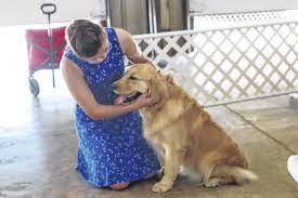Happy tails veterinary clinic, 731 w coshocton st, johnstown, oh 43031 740.966.5383 thehappytailsvet@gmail.com Junior Fair Exhibitors Compete In Dog Show Sidney Daily News