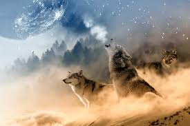 Gebrauchte artikel zu puzzle 1000 teile ravensburger. Hansepuzzle 35424 Tierwelt Wolf 2000 Teile Kaufland De