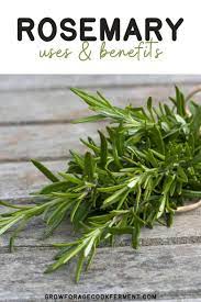 10 Reasons To Grow Rosemary For Your Garden Food And Health Plant Benefits Rosemary Plant Medicinal Herbs Garden