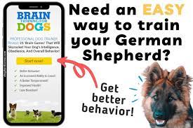 These diets do not include cooked or otherwise processed you can also refer to german shepherd puppy growth charts to see if you puppy is gaining weight and within the normal range. How Much To Feed A German Shepherd Puppy Simple Feeding Charts Shepherd Sense