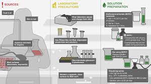Rna in vitro transcription biotinylation kit. Hiscribe T7 High Yield Rna Synthesis Kit Neb