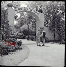 Old Vintage Negative Photo Detroit Zoo Entrance 1940 Detroit Zoo Detroit History Vintage Michigan
