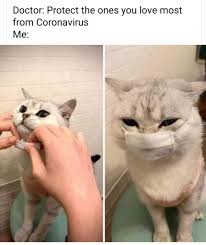 37 Funny Random Meme And Twitter Dump In 2020 Funny Animal Memes Animal Memes Cute Funny Animals