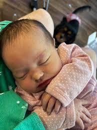 Since I someday hope to be getting a Cavalier from Dora Parks-Lewis, I  thought I could post this little note about one of the dashaliers I  obtained from Dora. His name is