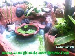 Kolam Ikan Tanah Liat Infoakuakultur Com