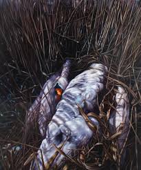 The painter and the thief (kunstneren og tyven) (2020). Sarets Estetikk I Kunstneren Og Tyven Rushprint