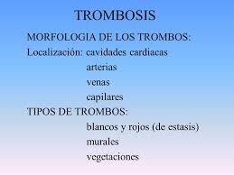 Vena trombosis venosa, embolia pulmonar arteria iam ave jesús a. Tipos De Trombosis Que Es Formacion De Trombos