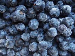 How To Freeze Blueberries Guide To Freezing Blueberries The Old Farmer S Almanac