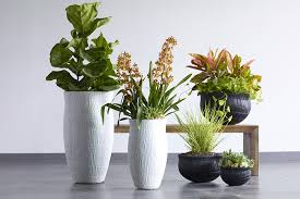 Its simple, rustic design features a bamboo tree motif on its roof. 5 Garden Decor Trends For 2019 Colorado Homes Lifestyles