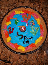 Plant Cell Top View Cookie Cake And Candy Plant Cell Cake Edible Cell Project Edible Cell