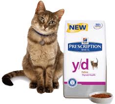 Hyperthyroidism (overactive thyroid glands) is a very common disorder of older cats. Big News For Hyperthyroid Cats Introducing Hills Prescription Diet Y D Village Cat Clinic