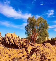 منازل زاد وحشتها هديل الحمام celestial sunset outdoor