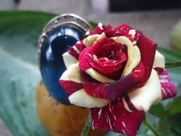 Bunga mawar adalah salah satu jenis bunga yang biasa dipakai untuk lambang romantisme, atau melambangkan ungkapan rasa kasih sayang kepada seseorang. Wallpaper Bunga Mawar Pelangi Dan Batu Mulia Rumah Daun Muda