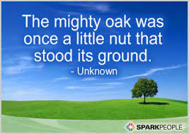 A mighty wind blew night and day. Mighty Oak Tree Quotes Quotesgram