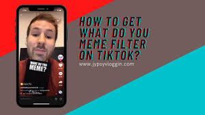 How To Get What Do You Meme Filter On Tiktok Youtube