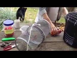 A longer string is attached to the ring and when it is pulled it causes the flaps to seal off the sides of the trap. How To Make Awesome Homemade Crab Trap Crab Trap Crab Fishing Crab
