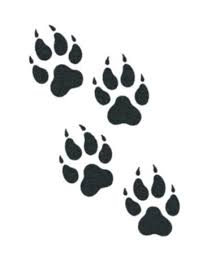 Men usually love to get tiger or wolf paws inked on their chest or back to bring a sense of primal aggression, while women may wear a dog or cat paw on back, wrist or ankle to show their love for their pet. Milti Print Wolf Paw Tattoos Wolf Print Tattoo Paw Tattoo