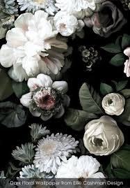 Dark Floral Wallpaper From Ellie Cashman Design Cashman Dark Design Ellie Floral Wallpaper Vintage Floral Wallpapers Flower Wallpaper Floral Wallpaper