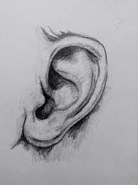 Ear Drawing Made By One Pencil Drawings Of Girls Pencil Art Drawings Drawings