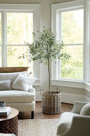 Indoor Plant Farm House Living Room Natural Home Decor Home Living Room