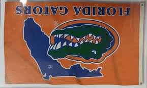 Florida Gators State Outline 3x5 Flag