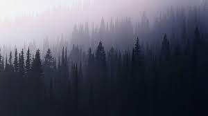 We hope you enjoy our rising collection of aesthetic wallpaper. Pastel Aesthetic Forest Wallpaper Novocom Top