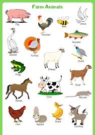 Farm And Wild Animals Vocabulary Farm Animals Preschool Animal Pictures For Kids Animal Flashcards
