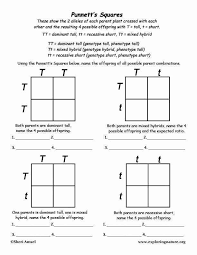 Created apr 20, 2015reportnominate tags:key, square. Punnett Square Practice Worksheet Answers 50 Punnett Square Practice Worksheet Answers In 2020 Punnett Square Activity Science Classroom Biology Classroom