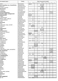 Image result for Brachychloa schiemanniana