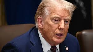 New festival looks to bring jazz vibes to Fredericton this summer