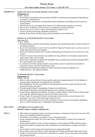 It Senior Project Manager Resume Samples Velvet Jobs
