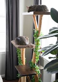There's a section to hold essential supplies like cat litter and air. Cat Lovers Learn How To Make A Diy Cat Tree Using Real Branches